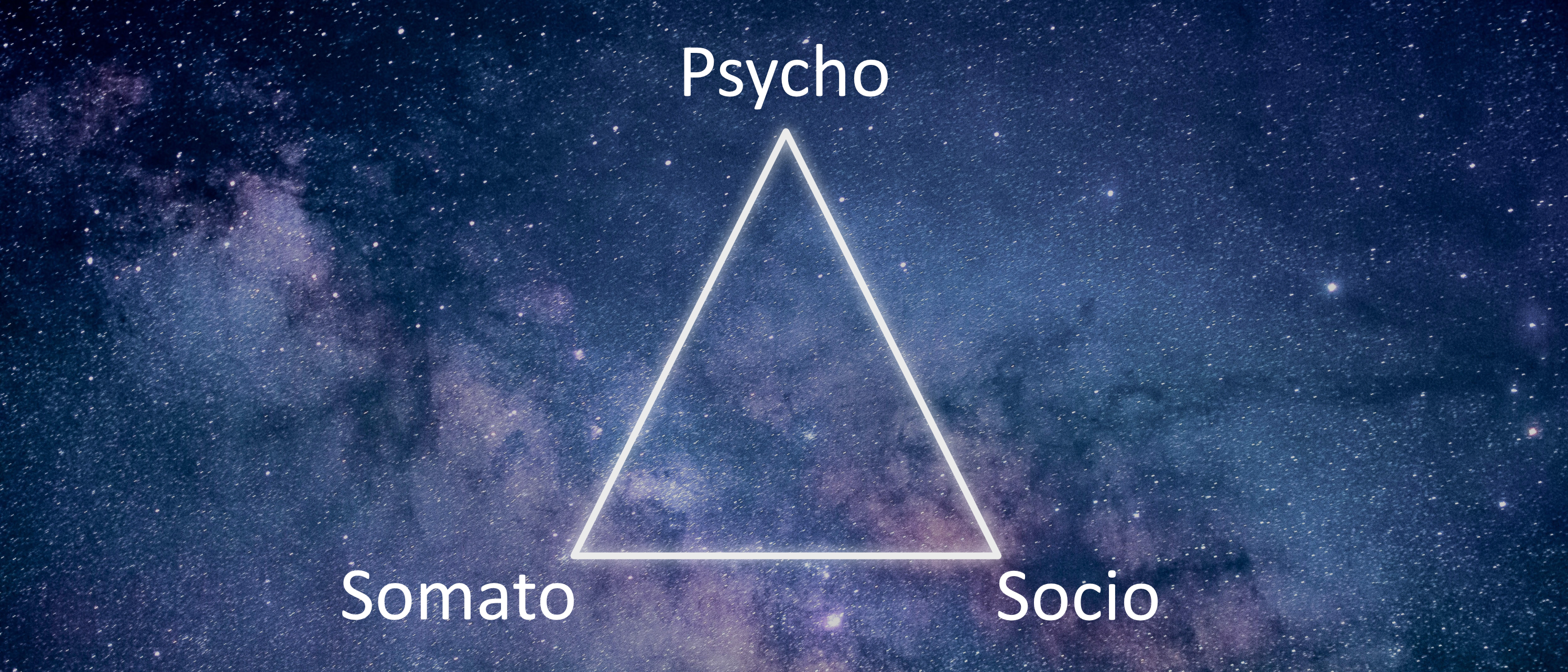 La triade psycho-socio-somato